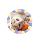 まるくんです（個別スタンプ：6）