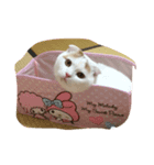 まるくんです（個別スタンプ：8）