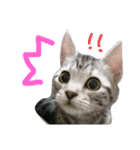 ラン♪（個別スタンプ：1）