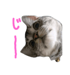 ラン♪（個別スタンプ：3）
