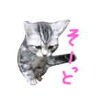 ラン♪（個別スタンプ：5）