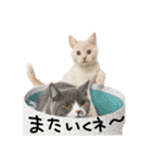 一休＆休太郎（個別スタンプ：7）