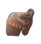 のほほんサリー（個別スタンプ：10）