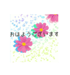 きれいめなスタンプ（個別スタンプ：4）