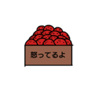 箱の中のしろちゃん（個別スタンプ：5）