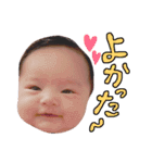 愛娘みーちゃんスタンプ（個別スタンプ：28）