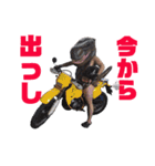寺野さん【公式】スタンプ（個別スタンプ：7）
