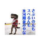 寺野さん【公式】スタンプ（個別スタンプ：18）
