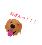 ちゃーすけ君（個別スタンプ：6）