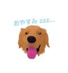 ちゃーすけ君（個別スタンプ：7）