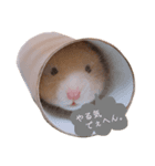 キンクマハムスターのふぅです（個別スタンプ：2）