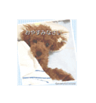 メリーとショコラの日常会話（個別スタンプ：1）