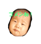 秀虎くんスタンプ（個別スタンプ：1）