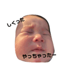 秀虎くんスタンプ（個別スタンプ：6）