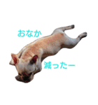 めいちゃん、かんちゃん（個別スタンプ：1）