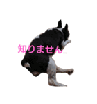 めいちゃん、かんちゃん（個別スタンプ：2）
