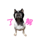 めいちゃん、かんちゃん（個別スタンプ：5）
