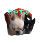 めいちゃん、かんちゃん（個別スタンプ：6）