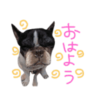めいちゃん、かんちゃん（個別スタンプ：21）