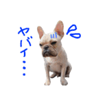 めいちゃん、かんちゃん（個別スタンプ：22）
