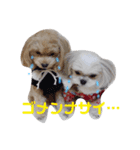 りくあんvol.2（個別スタンプ：8）