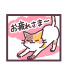 ねこねこらいふ（個別スタンプ：14）