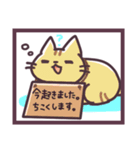 ねこねこらいふ（個別スタンプ：34）