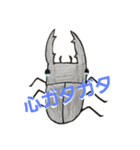 クワガタ虫（個別スタンプ：2）