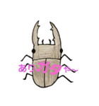クワガタ虫（個別スタンプ：3）