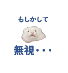 可愛い 天使 4本の フェレット 動物 写真（個別スタンプ：13）
