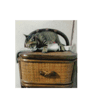 ベルの成長記録（個別スタンプ：3）