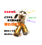 ころちゃん1（個別スタンプ：7）