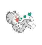 Taiwan_Leopard_cat v2（個別スタンプ：17）