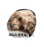もしゃの日常（個別スタンプ：2）