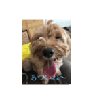 もしゃの日常（個別スタンプ：5）