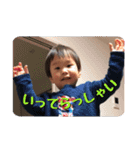 HAYATESAN（個別スタンプ：9）