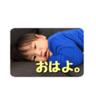 HAYATESAN（個別スタンプ：14）