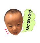いちこスタンプ！（個別スタンプ：15）