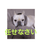 プタとウタ  その1（個別スタンプ：3）