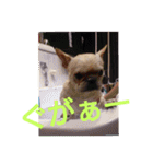 プタとウタ  その1（個別スタンプ：6）