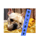 プタとウタ  その1（個別スタンプ：7）