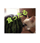 プタとウタ  その1（個別スタンプ：10）