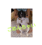 プタとウタ  その1（個別スタンプ：11）