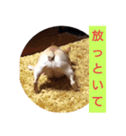 プタとウタ  その1（個別スタンプ：12）