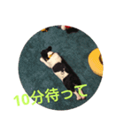 プタとウタ  その1（個別スタンプ：14）