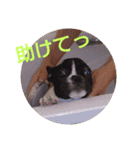 プタとウタ  その1（個別スタンプ：20）