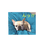 プタとウタ  その1（個別スタンプ：21）