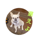 プタとウタ  その1（個別スタンプ：22）
