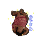 うちの天使ゆあまる（個別スタンプ：2）