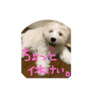 もふもふモフ（個別スタンプ：2）